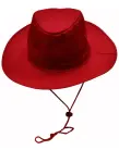 Custom Warden Hat